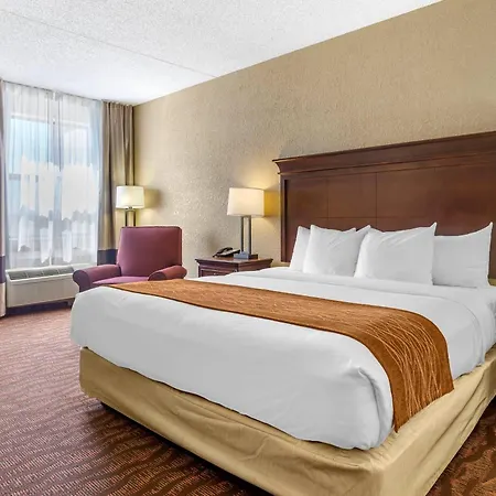 Comfort Inn & Suites Branson Meadows-2